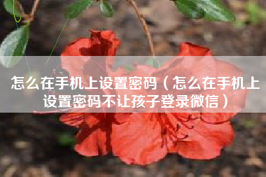 怎么在手机上设置密码(怎么在手机上设置密码不让孩子登录微信)